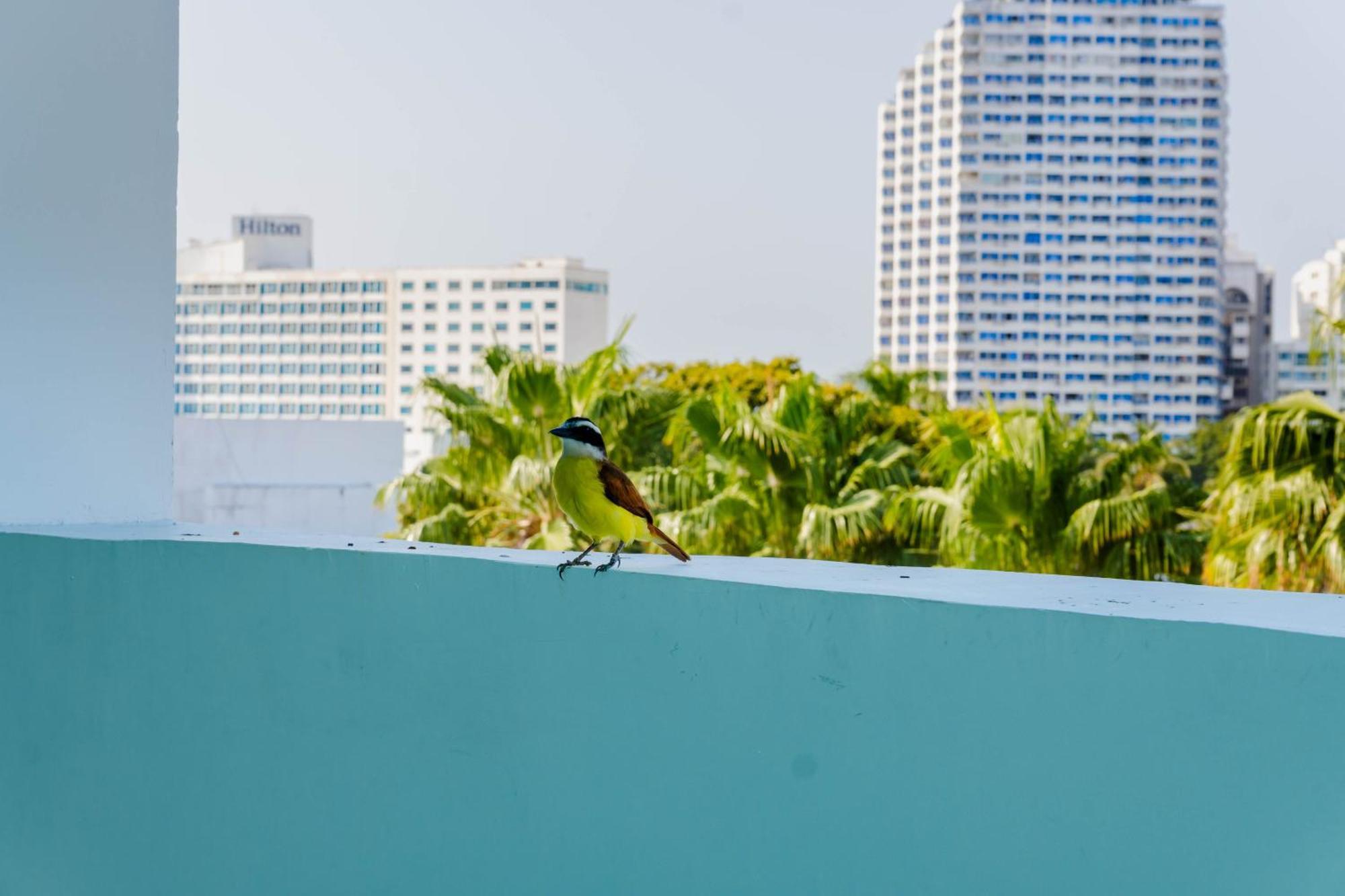 Hotel Coral Reef Cartagena 외부 사진